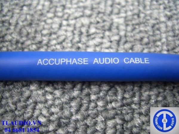 140116_044237day-accuphase-al-10-3